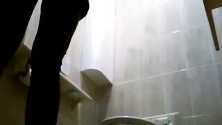 Japanese Voyeur Toilet 15310002
