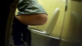 PublictoiletSL74 vol 370