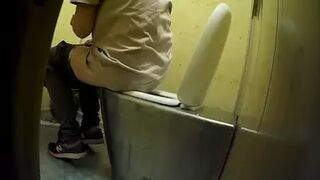 PublictoiletSL74 vol 360