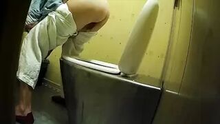 PublictoiletSL74 vol 357