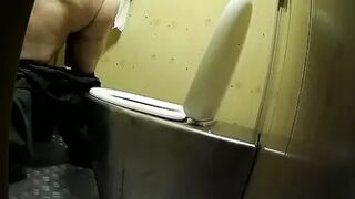 PublictoiletSL74 vol 350