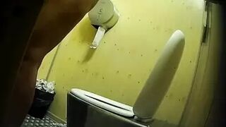 PublictoiletSL74 vol 344