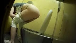 PublictoiletSL74 vol 315