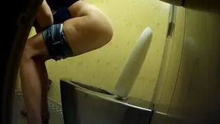 PublictoiletSL74 vol 313