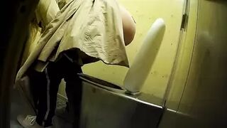 PublictoiletSL74 vol 299