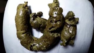 ElenaToilet - Detailed Shit For Toilet Slaves