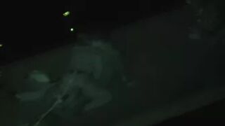 publicsexnight01
