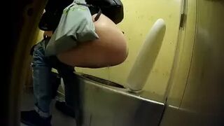 PublictoiletSL74 vol 260