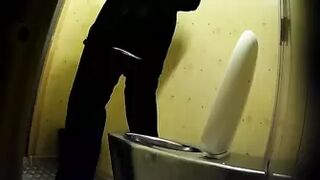 PublictoiletSL74 vol 256