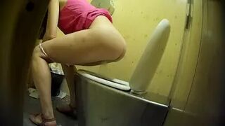 PublictoiletSL74 vol 240