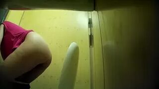 PublictoiletSL74 vol 231