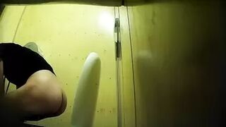 PublictoiletSL74 vol 230