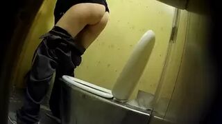 PublictoiletSL74 vol 223