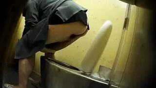 PublictoiletSL74 vol 220