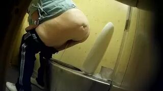 PublictoiletSL74 vol 219