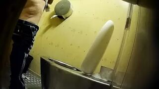 PublictoiletSL74 vol 219