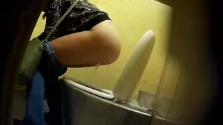 PublictoiletSL74 vol 214