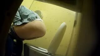 PublictoiletSL74 vol 205