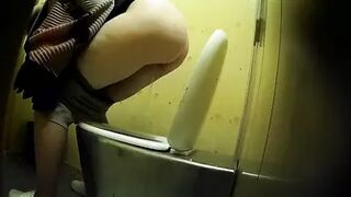 PublictoiletSL74 vol 197