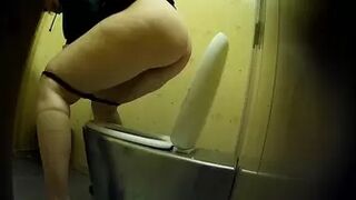 PublictoiletSL74 vol 177