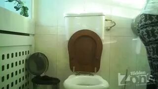 WC 3017