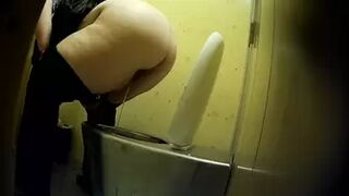 PublictoiletSL74 vol 169