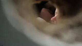 see her lovely cunt, pee