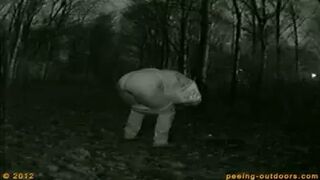 New Years Eve Summary 14