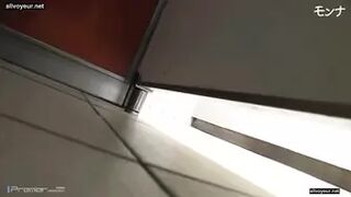 Asian Toilets 35