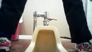 Asian Toilets 31