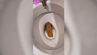 Kitty Skatt - Four unflushable logs