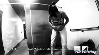 Public Toilet Accident