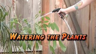 Watering the Plants