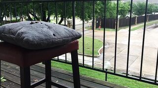 funkyladies - Alonna’s Scatastrophe!!
