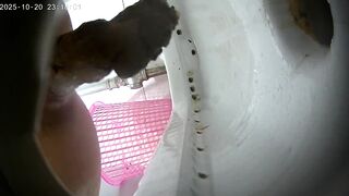Top Quality Toilet Shots University Dormitory Series 2