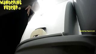Gas Station Toilet 2023 (011)