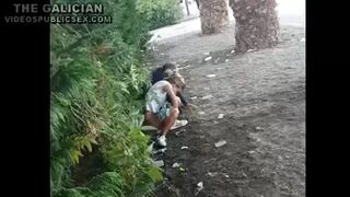 The Galician Gotta 067