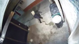 yt Public Urination on Private property - the two ladies