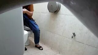 Hidden toilet, Vietnam 01