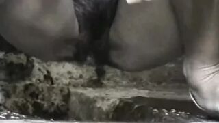 pee1