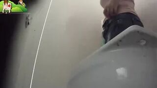 Beach toilet
