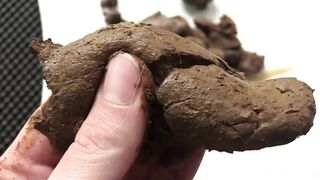 DirtyMaryan - Pooping and showing texture of my shit2