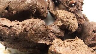 DirtyMaryan - Pooping and showing texture of my shit2